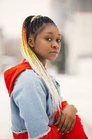 Fulani Braids Preview
